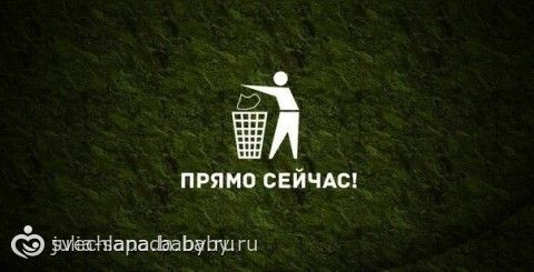 Флай 2: День 6 понедельник 05.09.16г