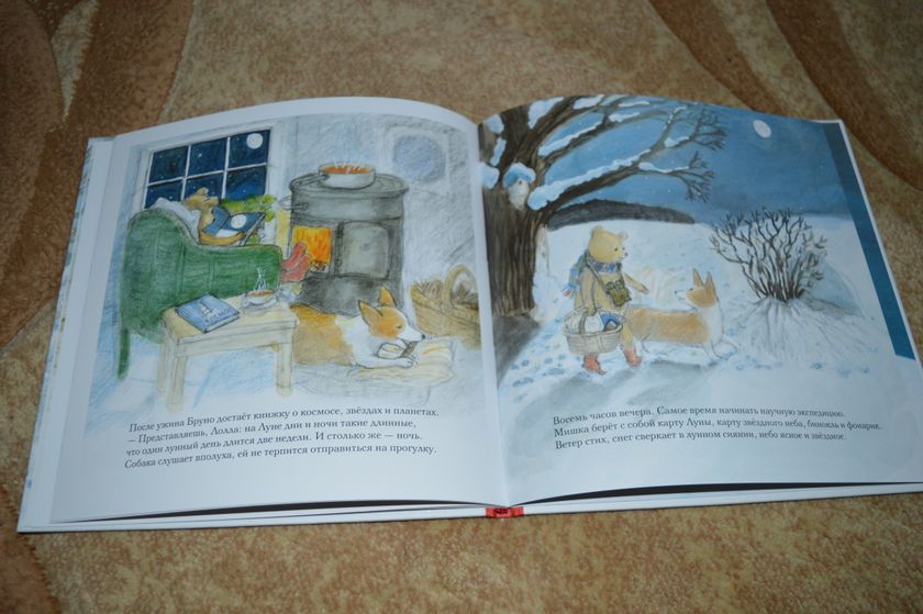 Димины зимние книжки, часть 4.