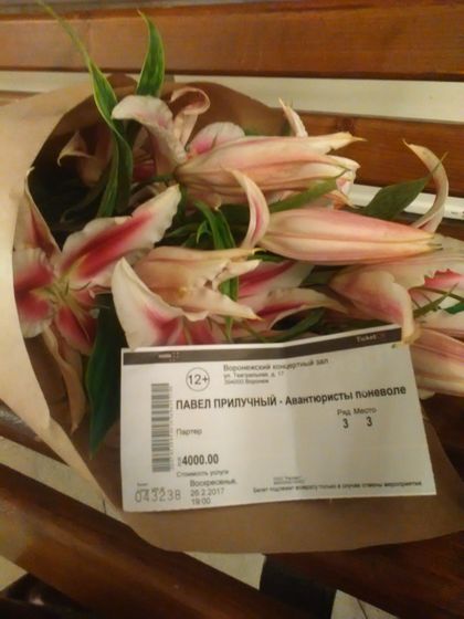26.02.2017г. г.Воронеж Воронежский концертный зал, спектакль
