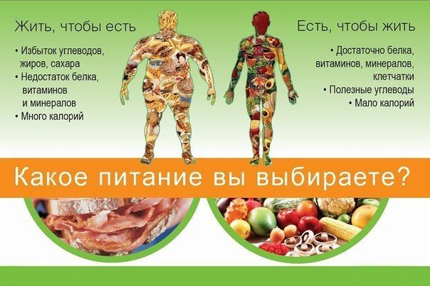 Марафон похудения к новому году Итоги первой недели
