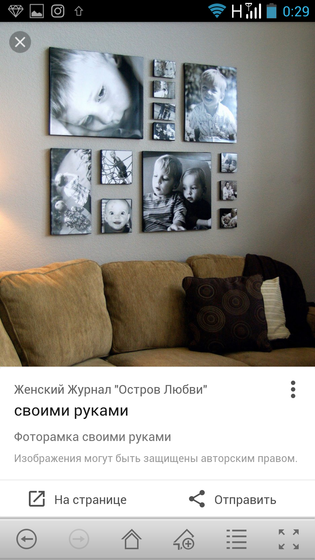 Фотки . домашние цветы