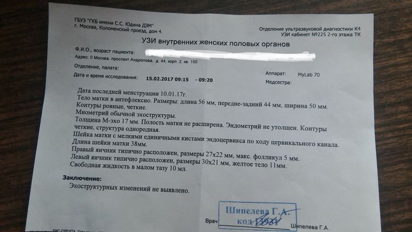 Первое УЗИ!