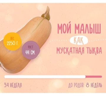 35 неделя пошла