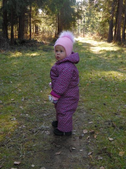 365 день 306 прогулка в лесу и женское непостоянство)