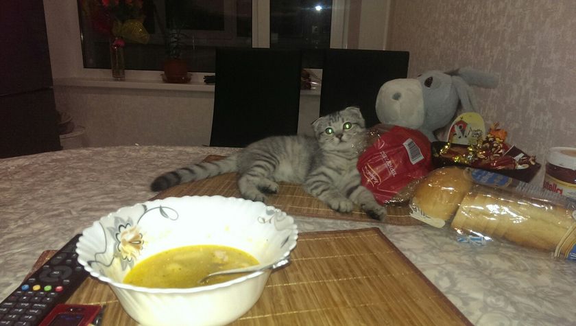 Царь! Очень приятно, Царь!