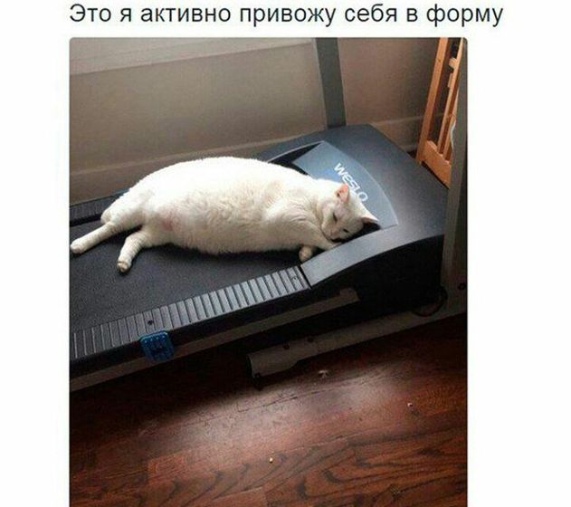 Марафон #ясмогу 2.0 день 26 Осенние пробежки и мое меню за последние 5 дней)