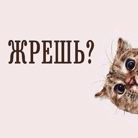 Марафон #ясмогу 2.0 день 27----9 советов для тех кто хочет похудеть--