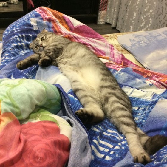 Царь! Очень приятно, Царь!