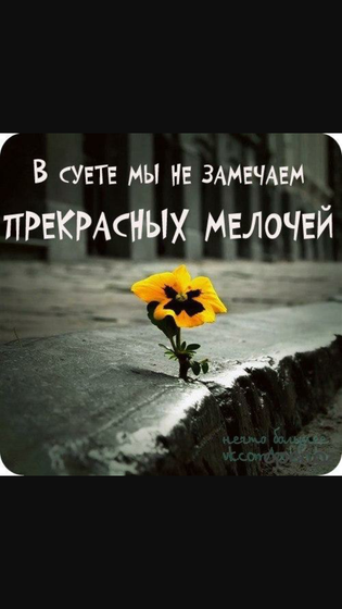✌
