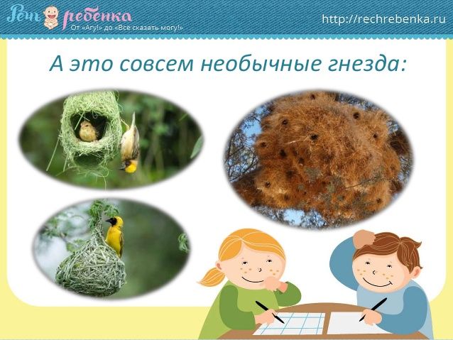 тн орнитологи. Задания