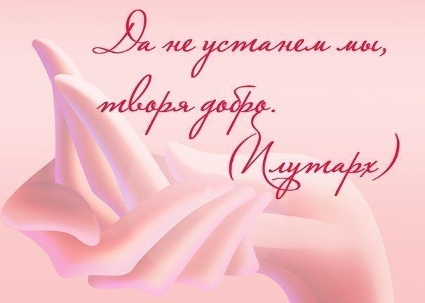 Новости Саши Канева 22 декабря 2016 года. Купили билеты в Китай!