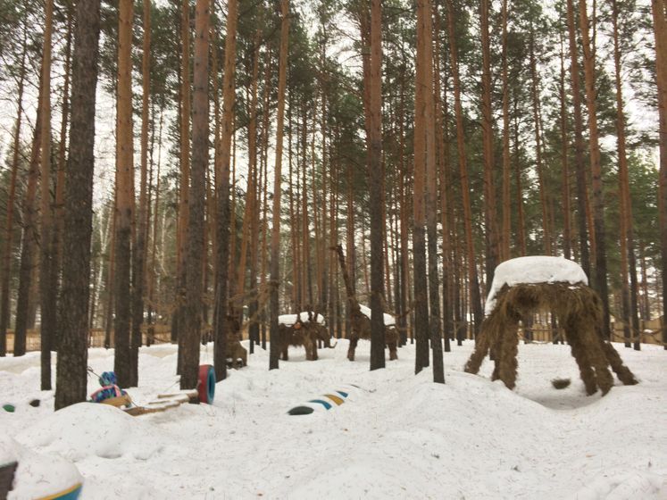 насыщенная неделя