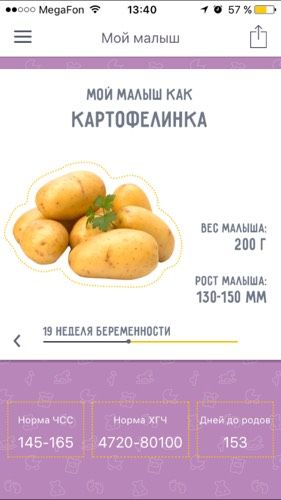 Моя ?