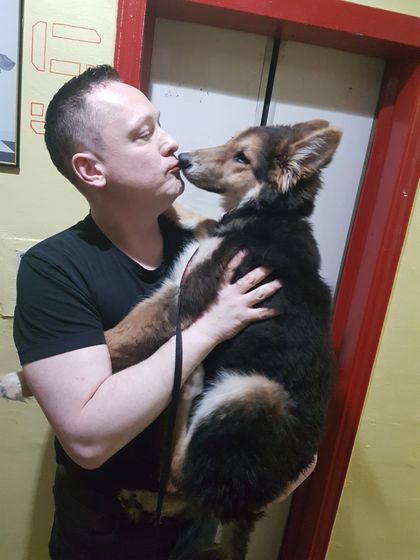 Найдена собака 6-7 мес