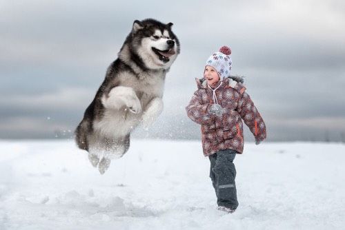 🐶