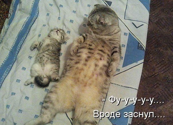 ?Доброго всем дня и прекрасного Рождества?