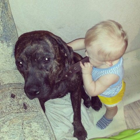 Наша питоняня😍