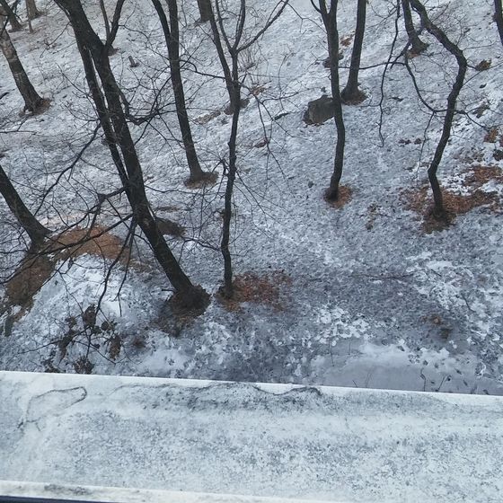 Наконец выпал снежок!!!