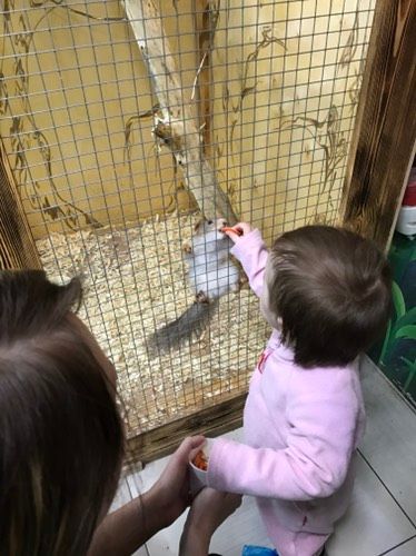 Контактный зоопарк 😍