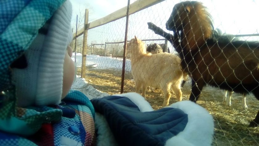Погуляли с сыночком
