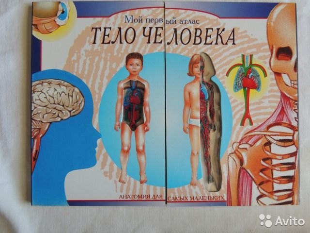 "Мой первый атлас. Тело человека"