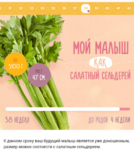 38 неделек ))