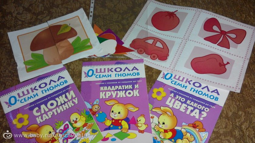 Наша ШСГ 0+