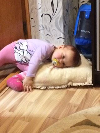 Нашла место для сна!?