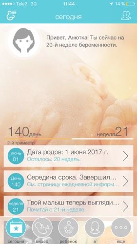 20 недель!