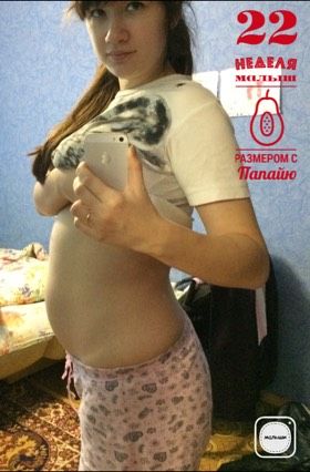 22 недели