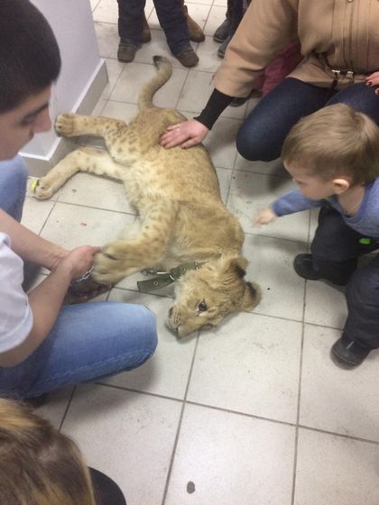 Только для Ульяновска
