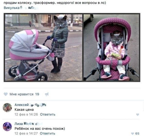 Комментарий повеселил)