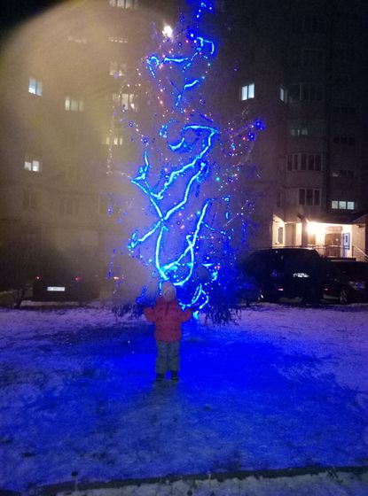 31 декабря 2016-1 января 2017/ Новый год.