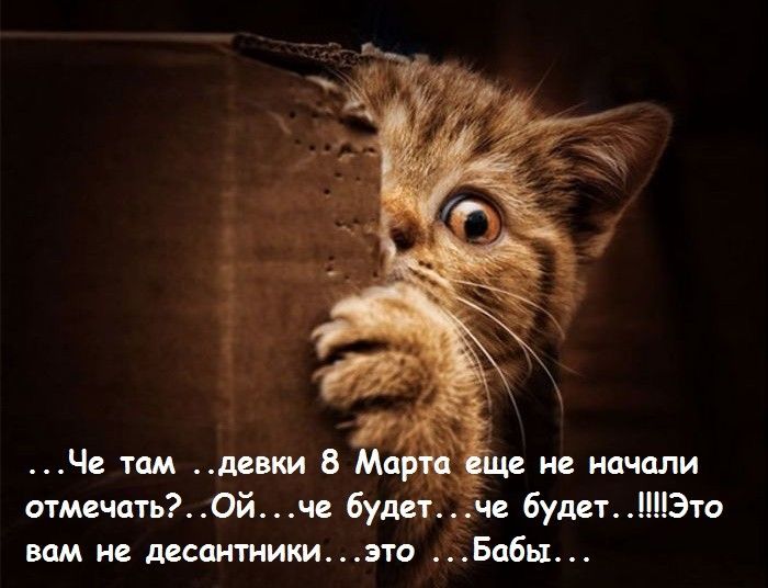 С наступающим