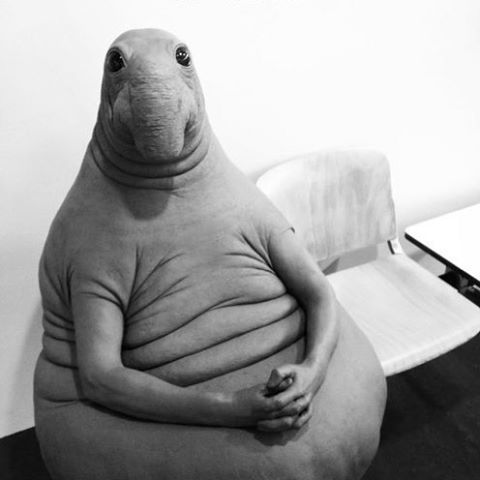 Ждём