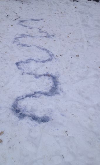 Отчет по марафону 