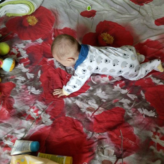 5 месяцев моему котику?