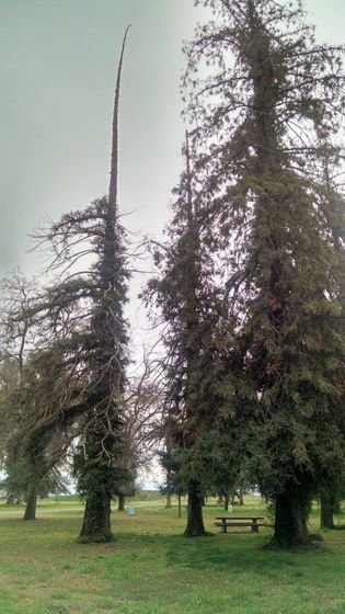 Исторический городской парк (1 часть)
