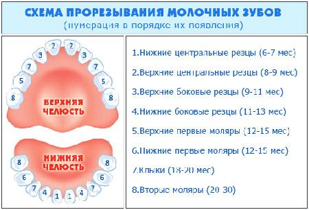 Про зубы!!!