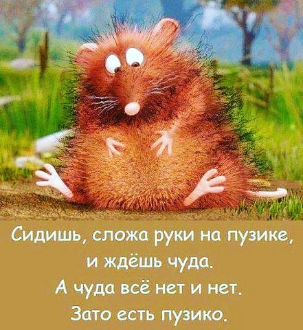 39недель✔ и пробка.