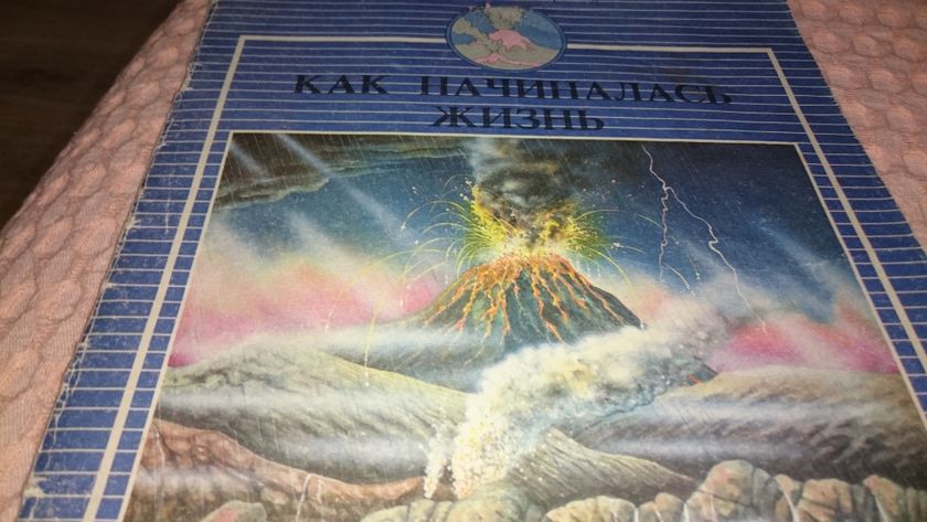 маленькие палеонтологи