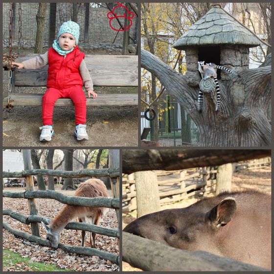 ноябрь в Краснодаре)))