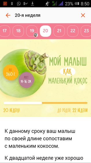 Экватор!