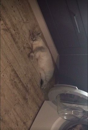 Отдохну
