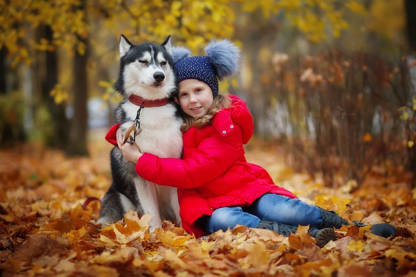 Мини фотопроект с хаски) Фотопост.