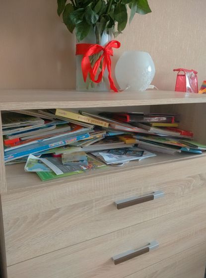 Девочки, а как у вас хранятся книги детей?