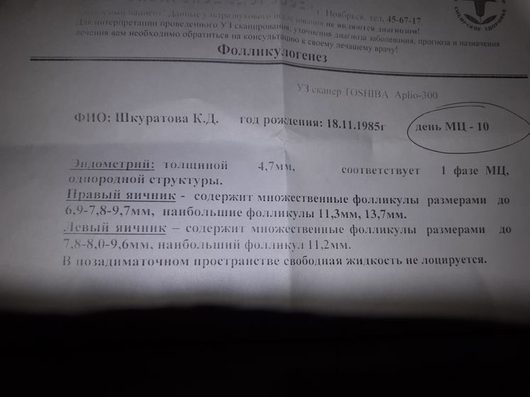 10 и 14 дц