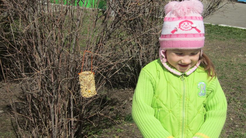 ТН Орнитология (3.9 лет) марафон маленькие ученые-исследователи
