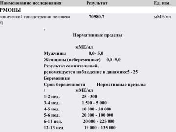 Динамика ХГЧ