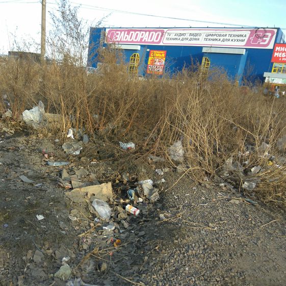 Почему люди такие глупые, мам?